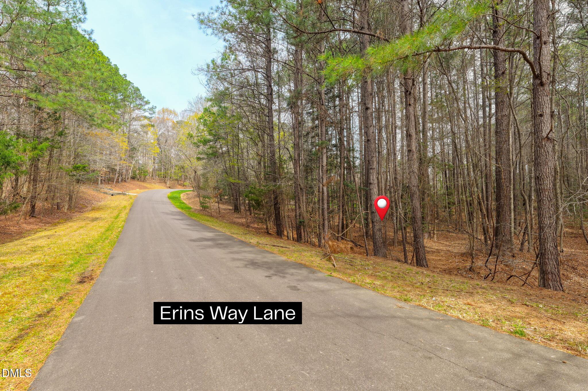 1121 Erins Way Lane Property Photo 2