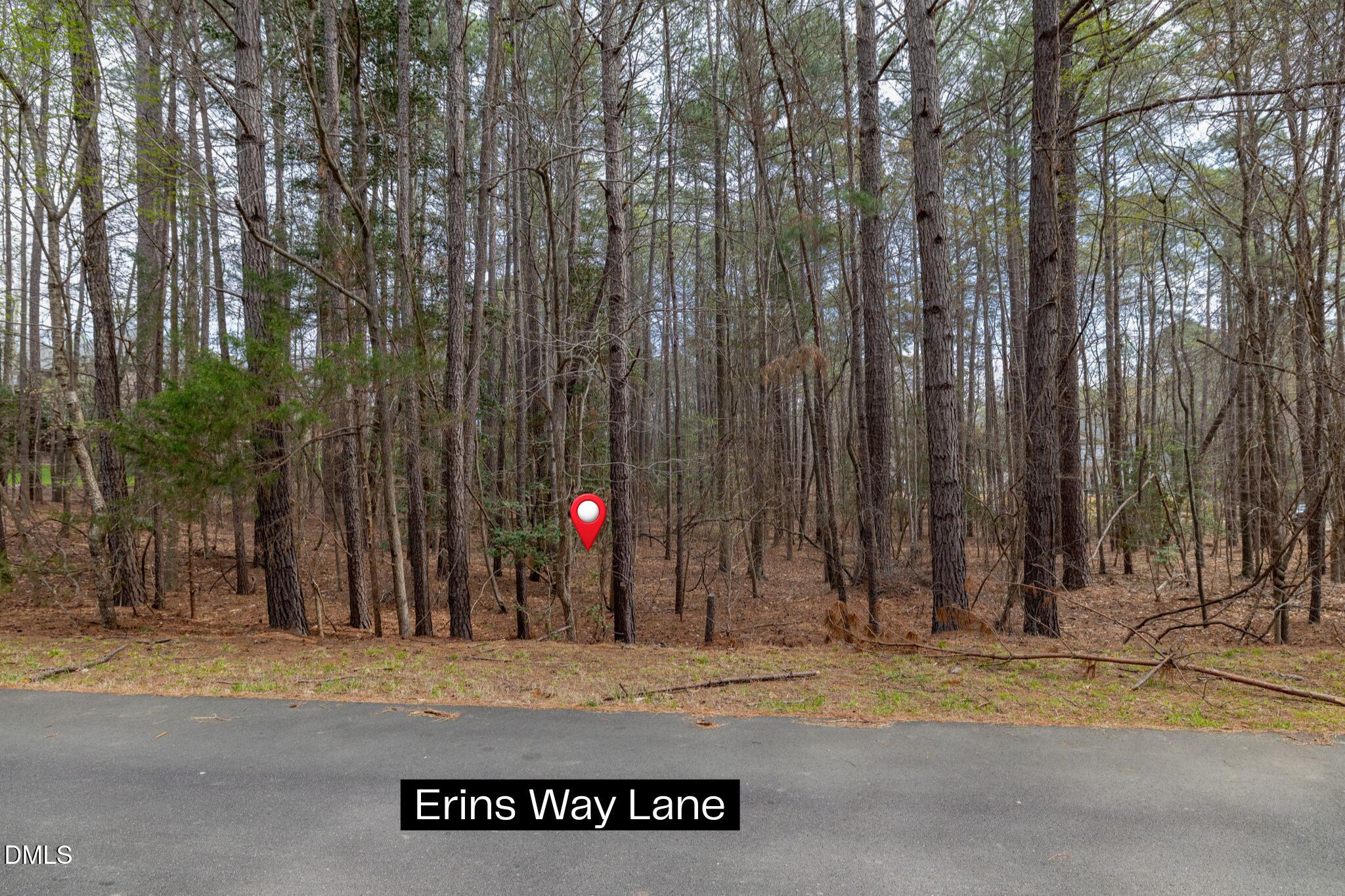 1121 Erins Way Lane Property Photo 3