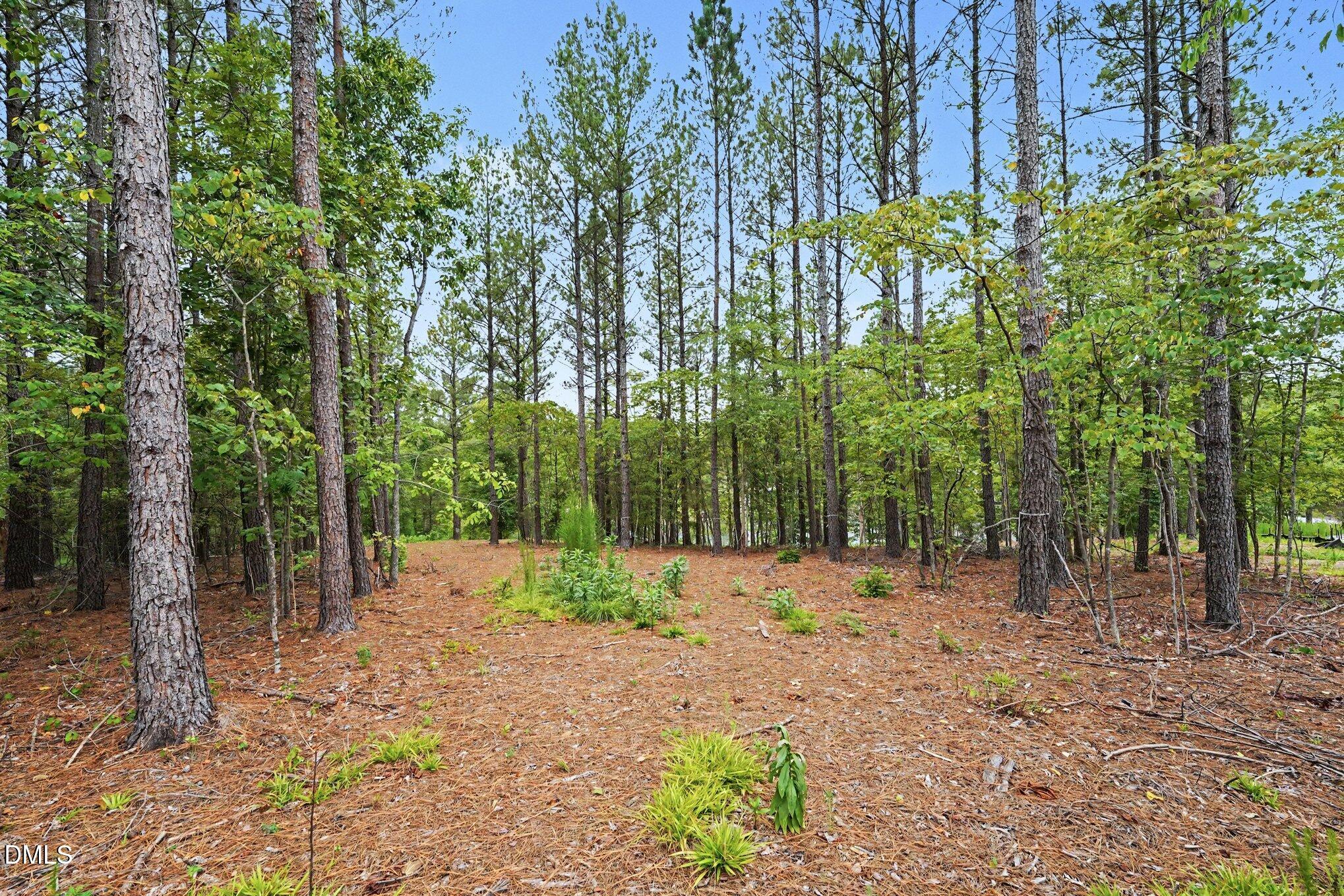 116 Windsail Point Property Photo 8