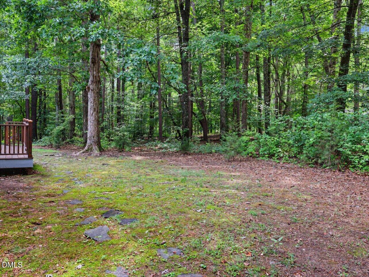 10 Sourwood Lane Property Photo 73