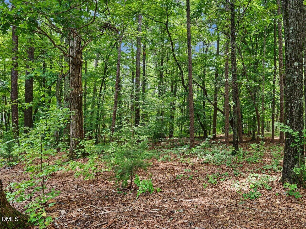 10 Sourwood Lane Property Photo 74