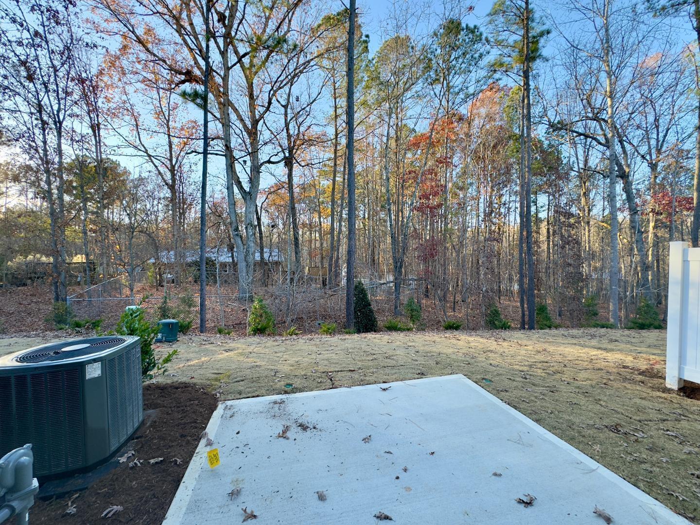 2126 Maggie Valley Drive Property Photo 29