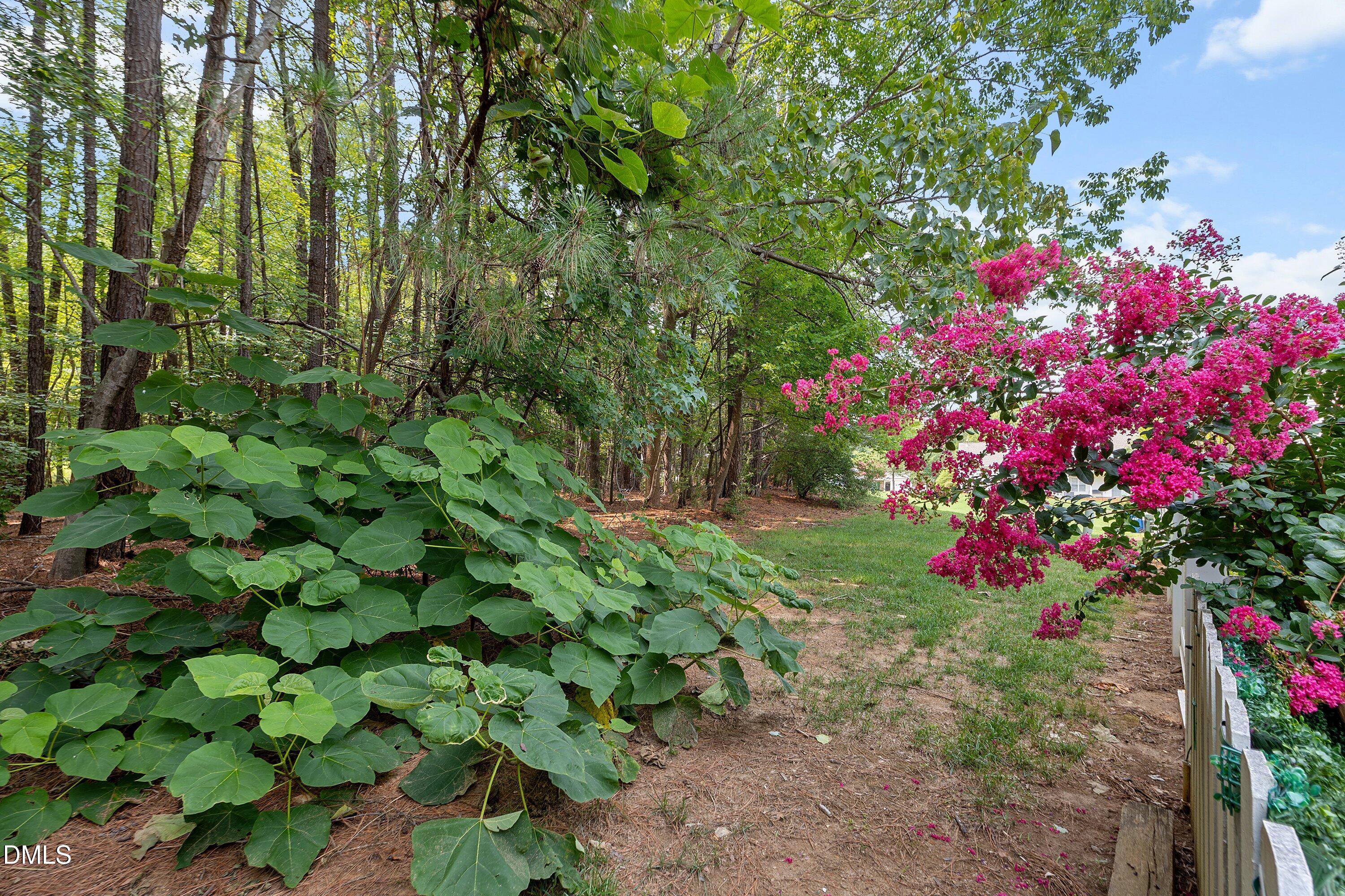 3122 Coxindale Drive Property Photo 33