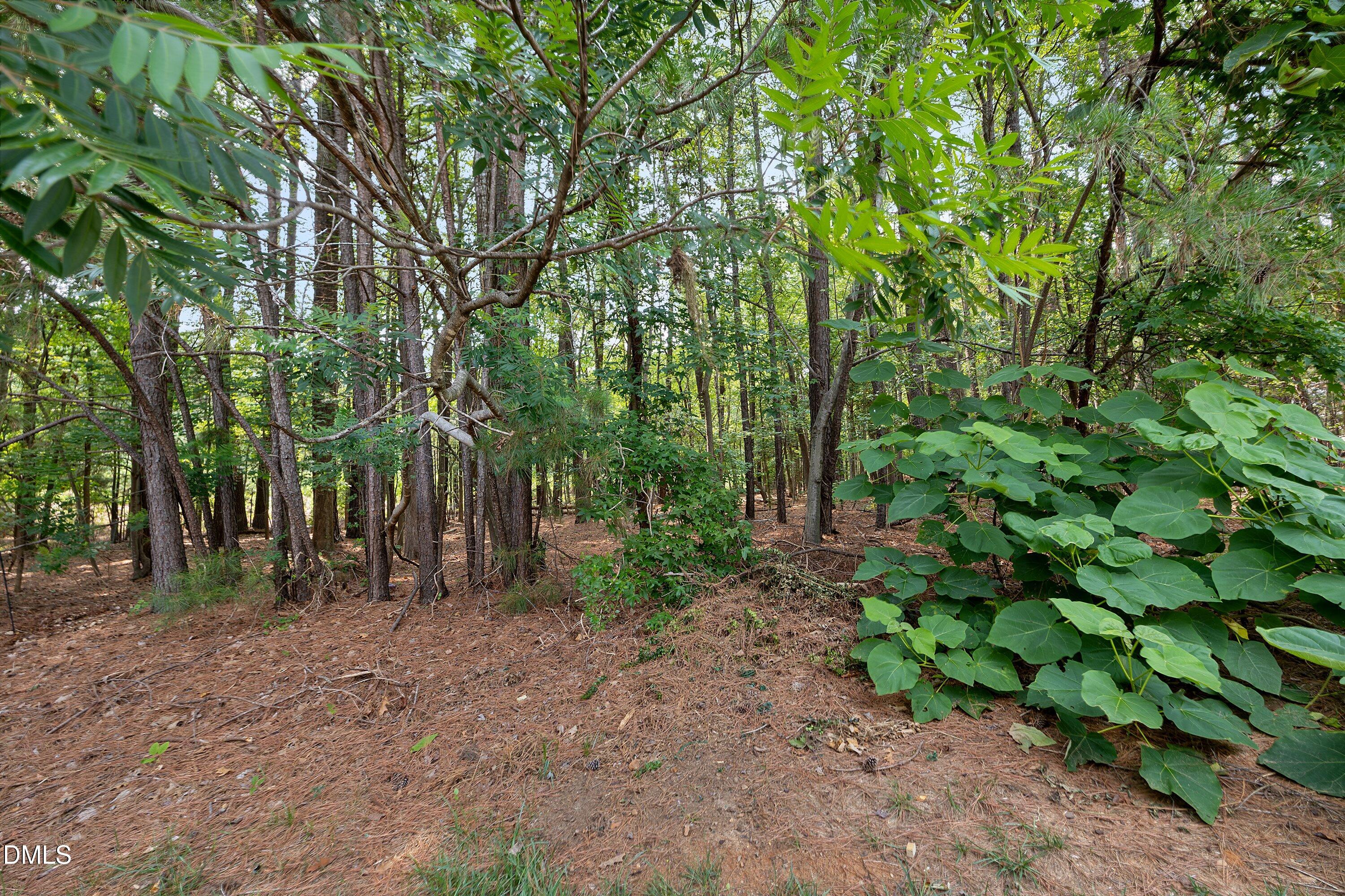 3122 Coxindale Drive Property Photo 37