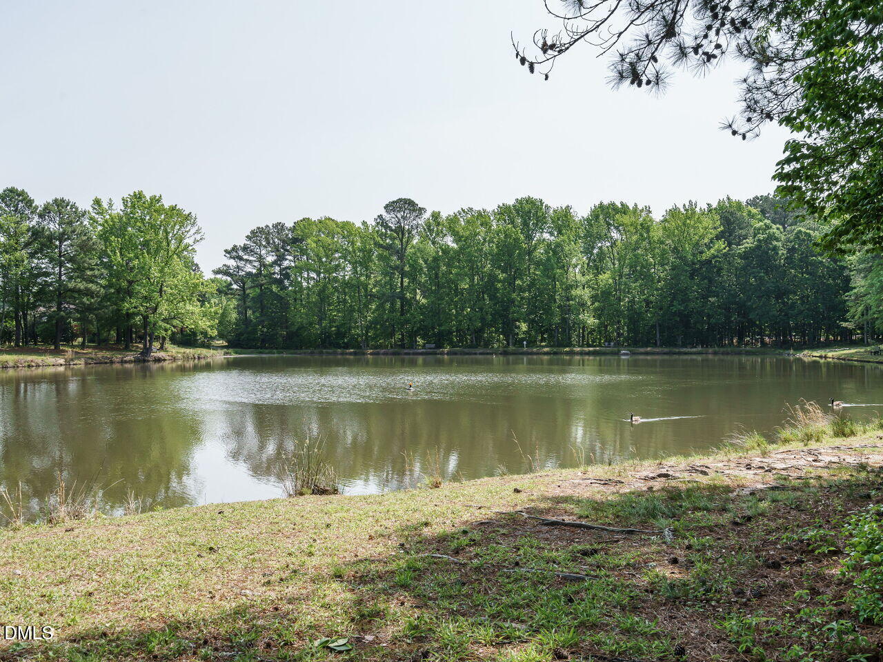 1011 Tender Drive Property Photo 35