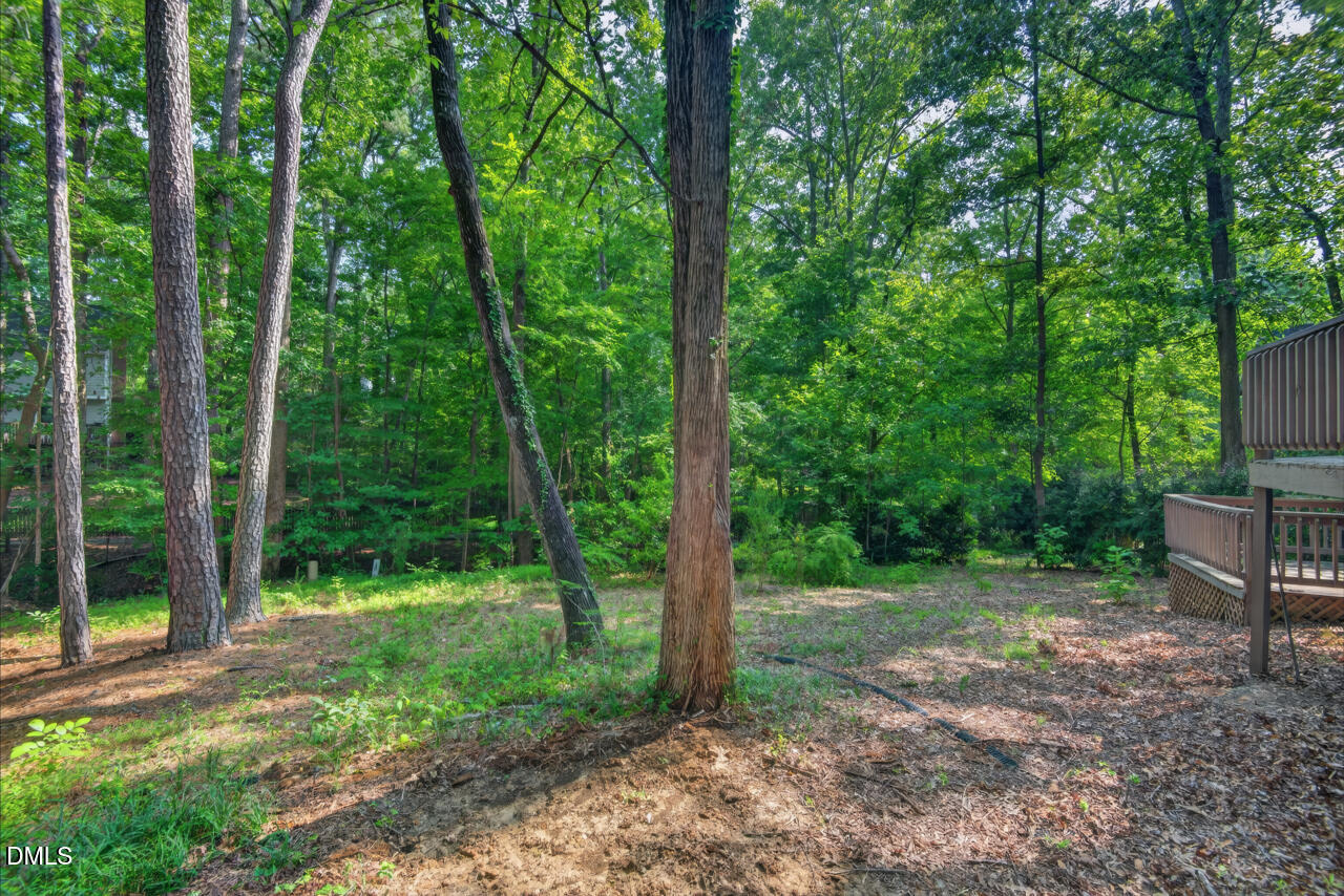 19 Copper Hill Court Property Photo 48