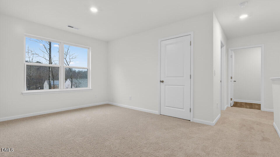 79 Richmond Run Property Photo 18