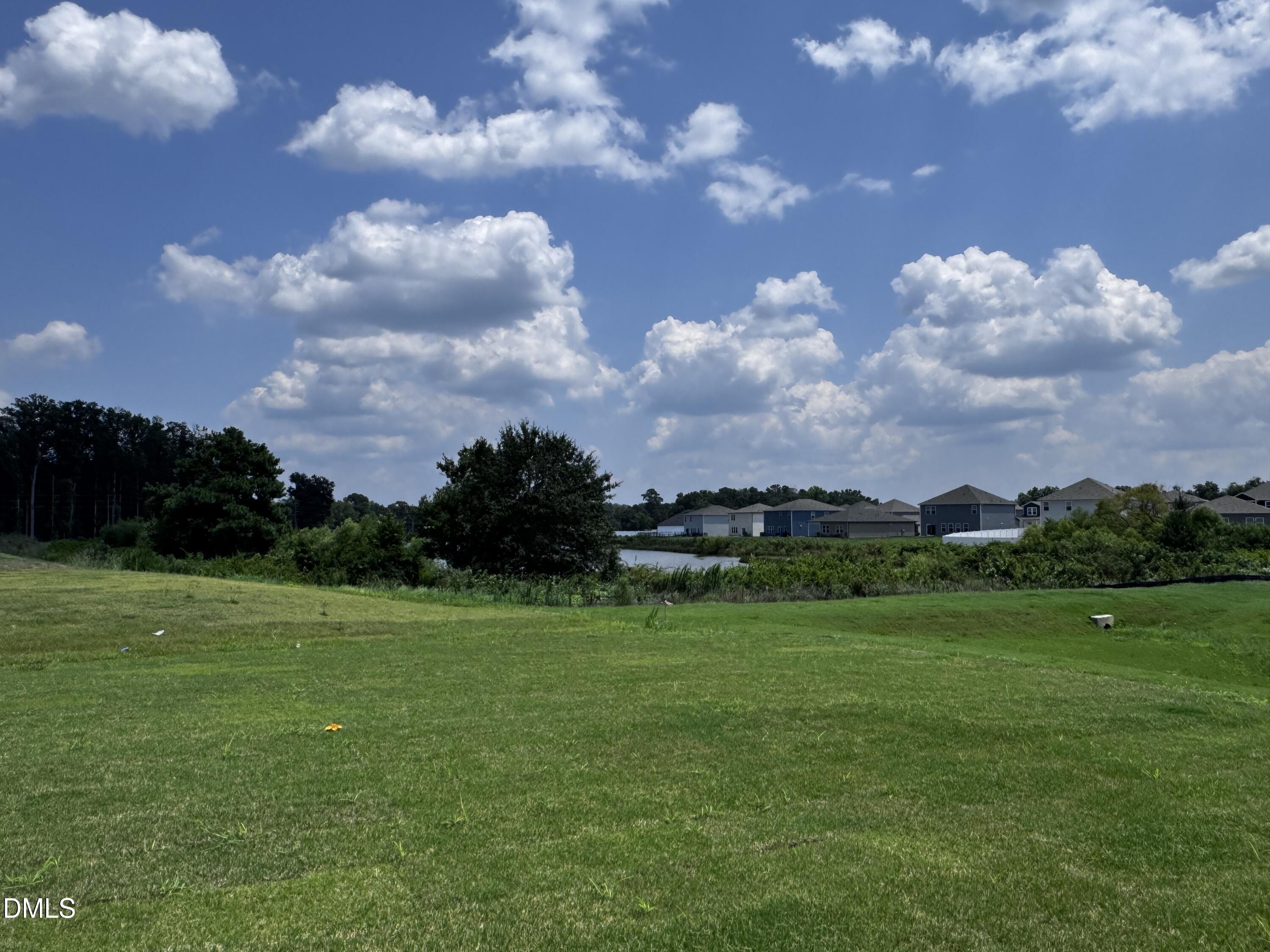 50 Thistle Patch Place Property Photo 19