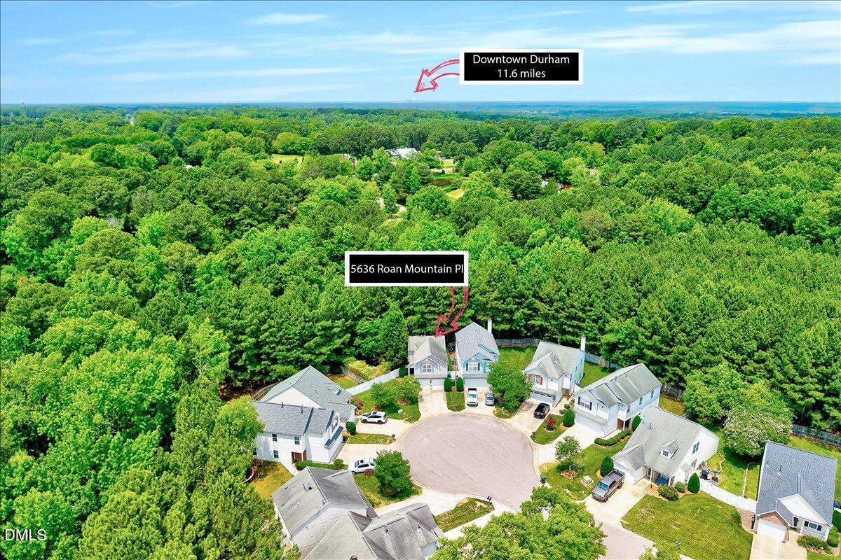 5636 Roan Mountain Place Property Photo 17