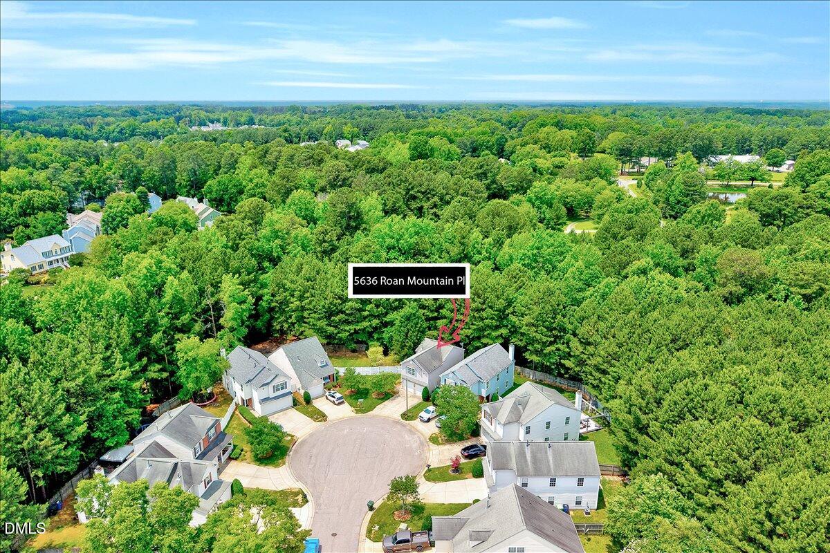 5636 Roan Mountain Place Property Photo 18