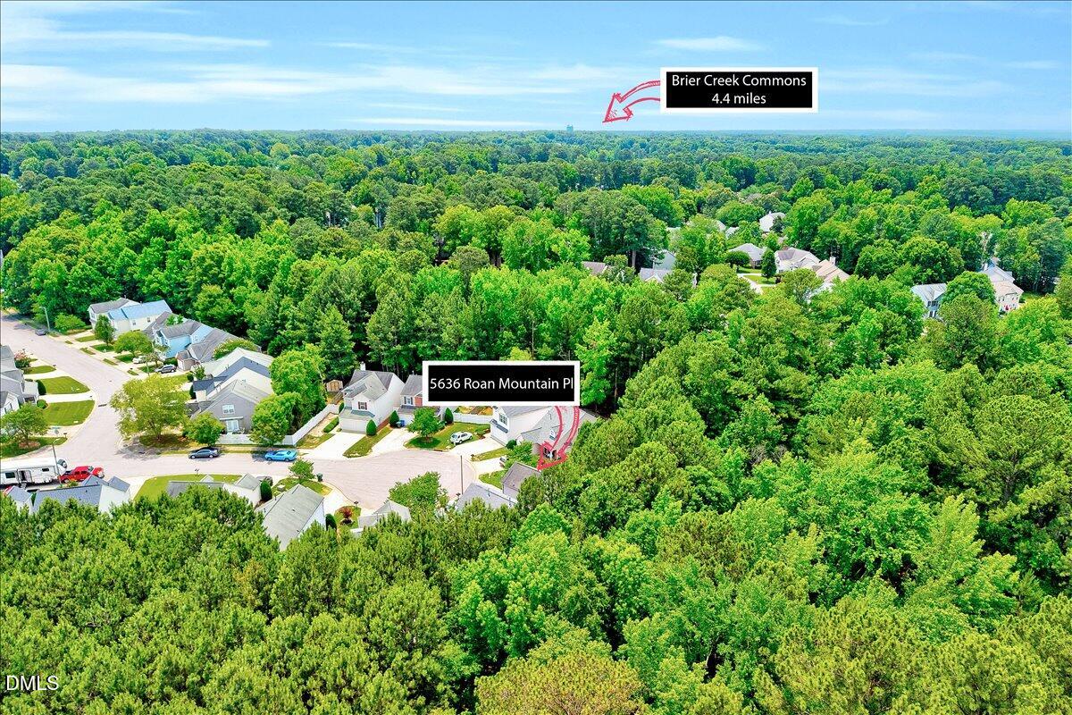 5636 Roan Mountain Place Property Photo 20