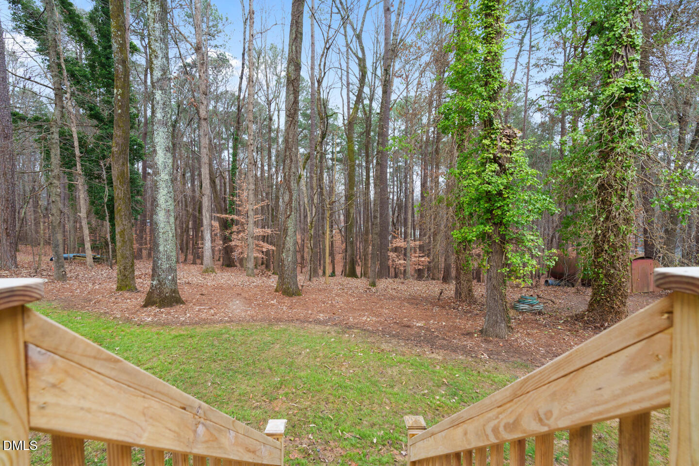 5425 Live Oak Trail Property Photo 18