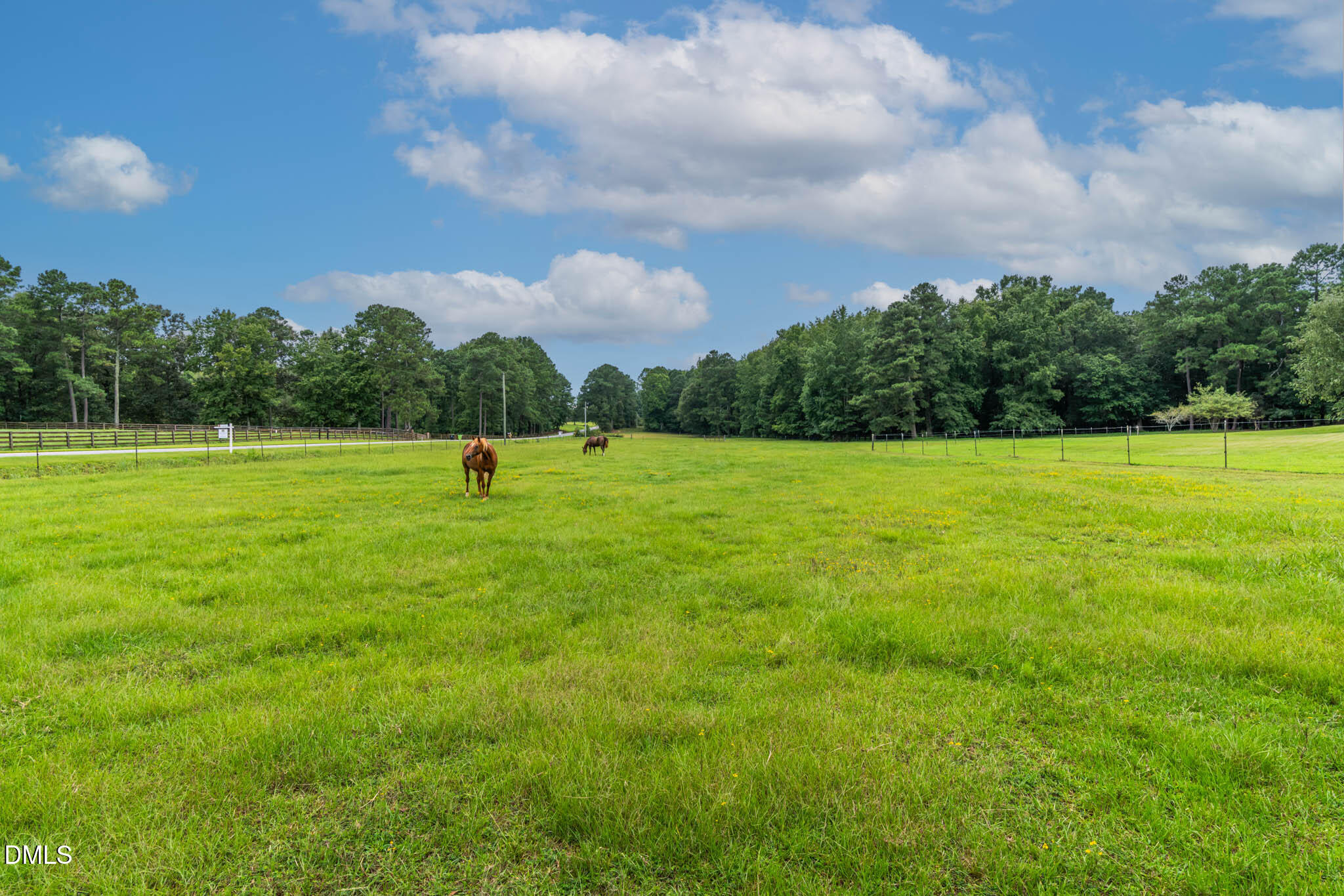 6406 Pulley Town Road Property Photo 1