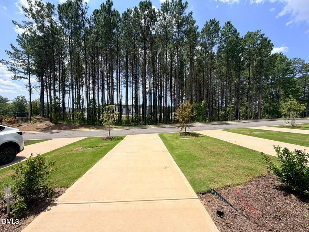 451 Carolina Springs Boulevard Property Photo 33