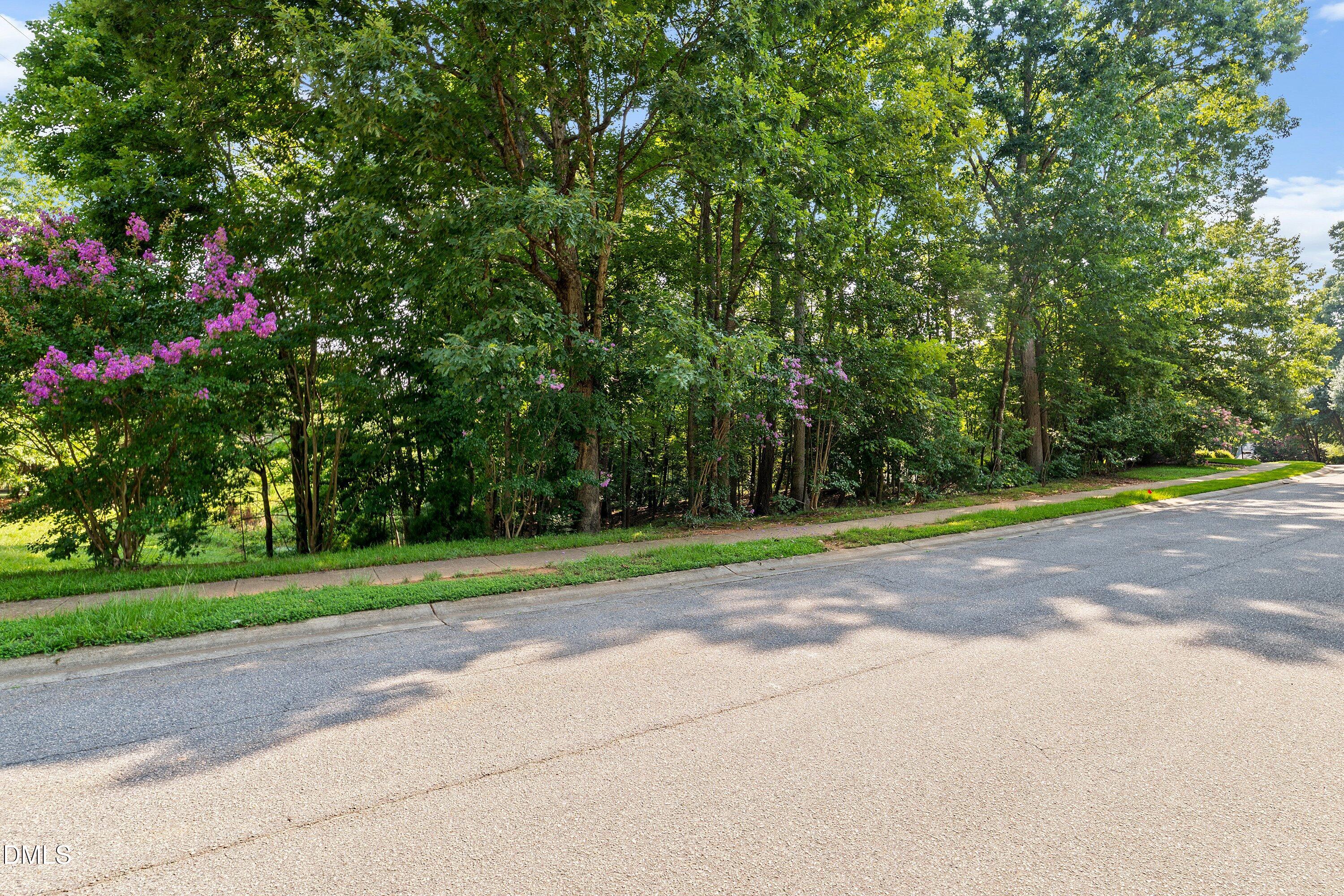 4805 Sunset Forest Circle Property Photo 2