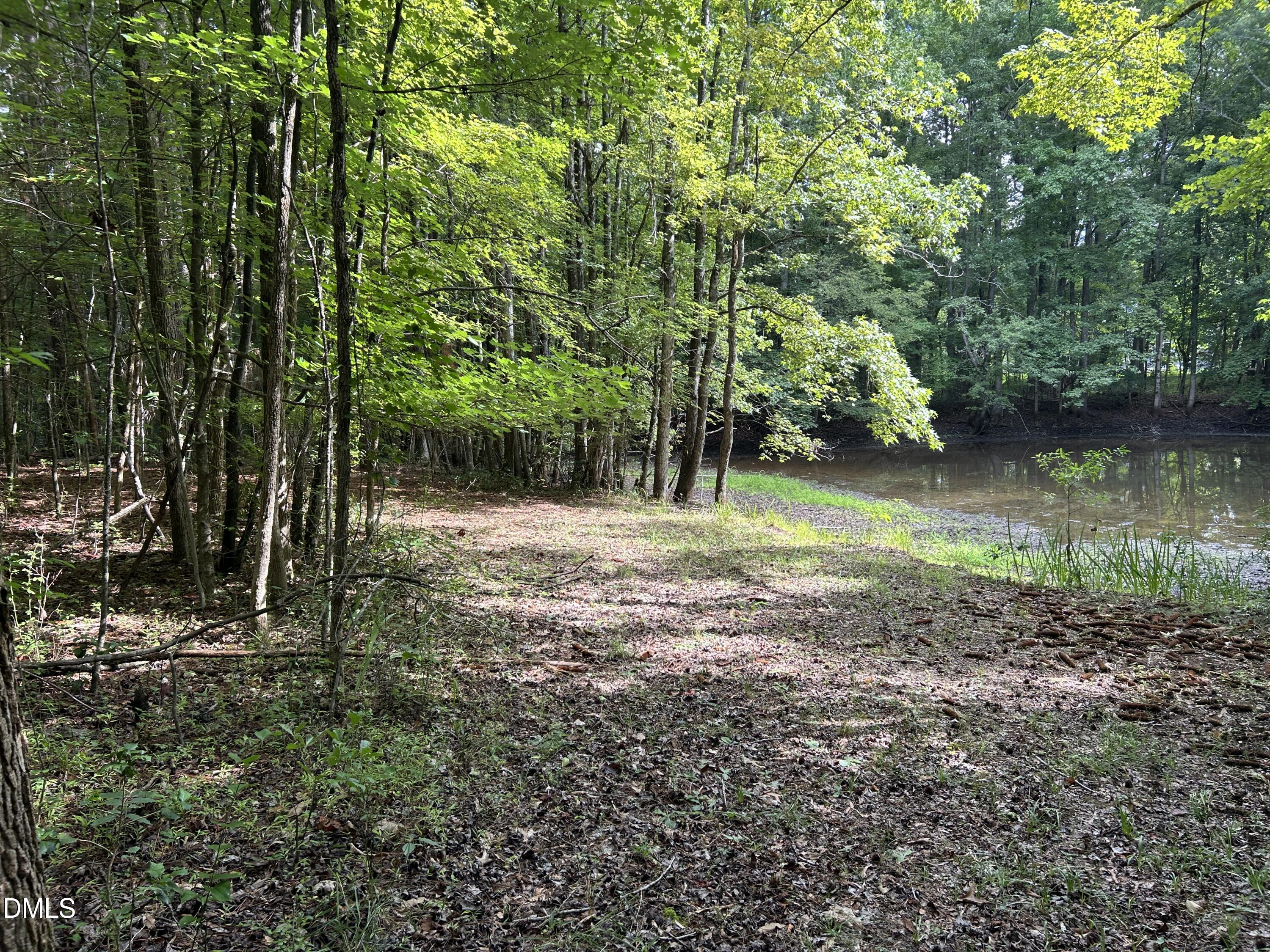 3917 Lebanon Road Property Photo 4
