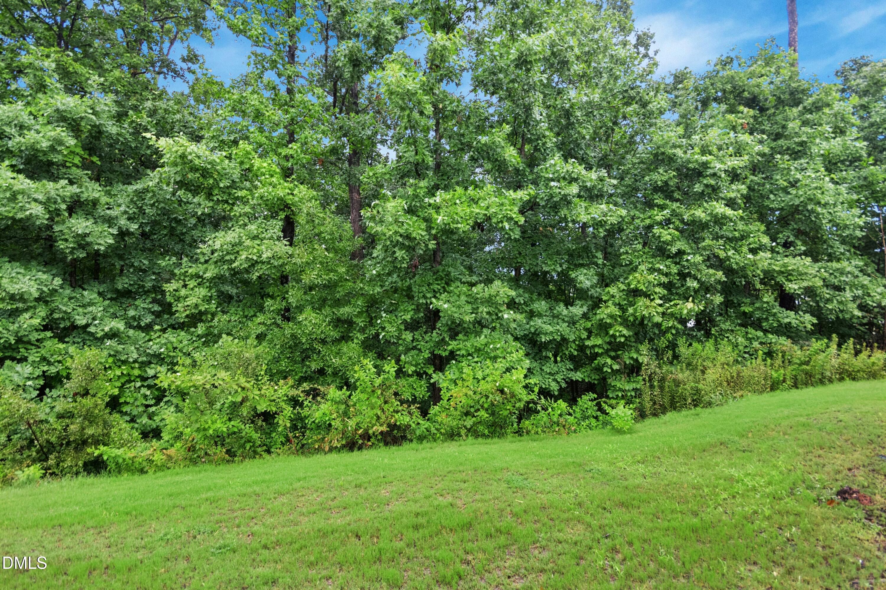 307 Marbella Grove Court Property Photo 7