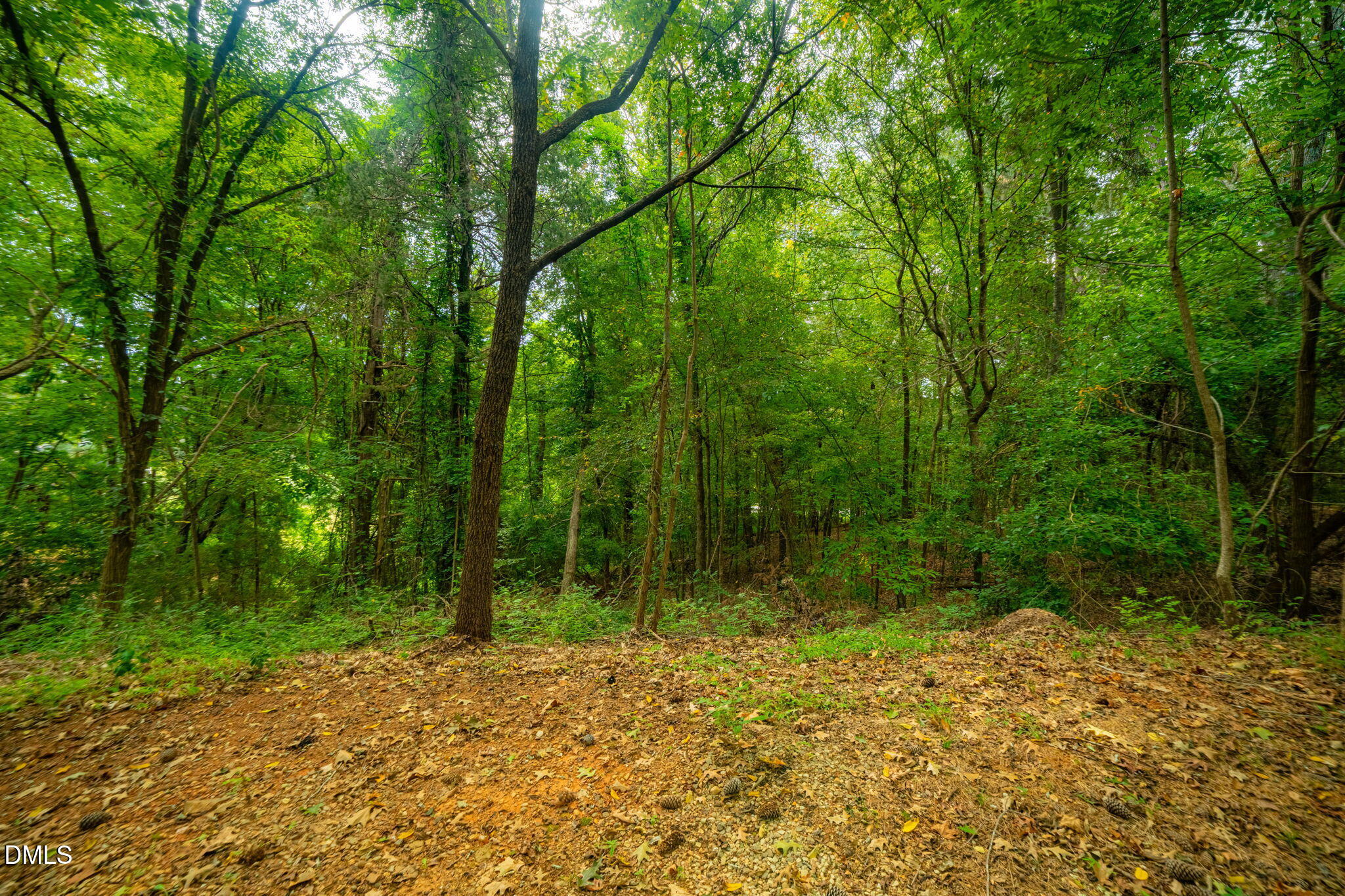 105 Wright Hill Drive Property Photo 9