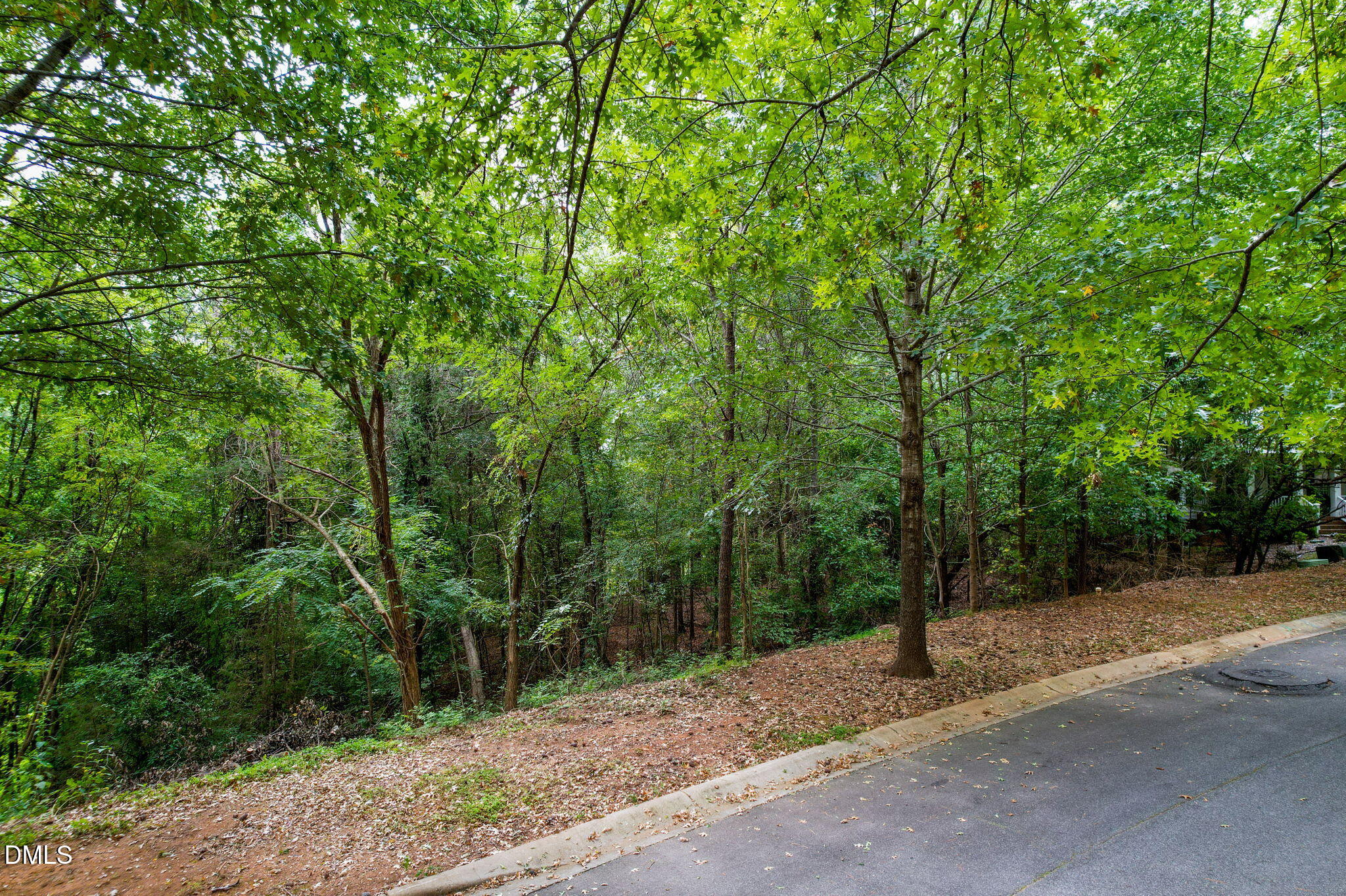 105 Wright Hill Drive Property Photo 11