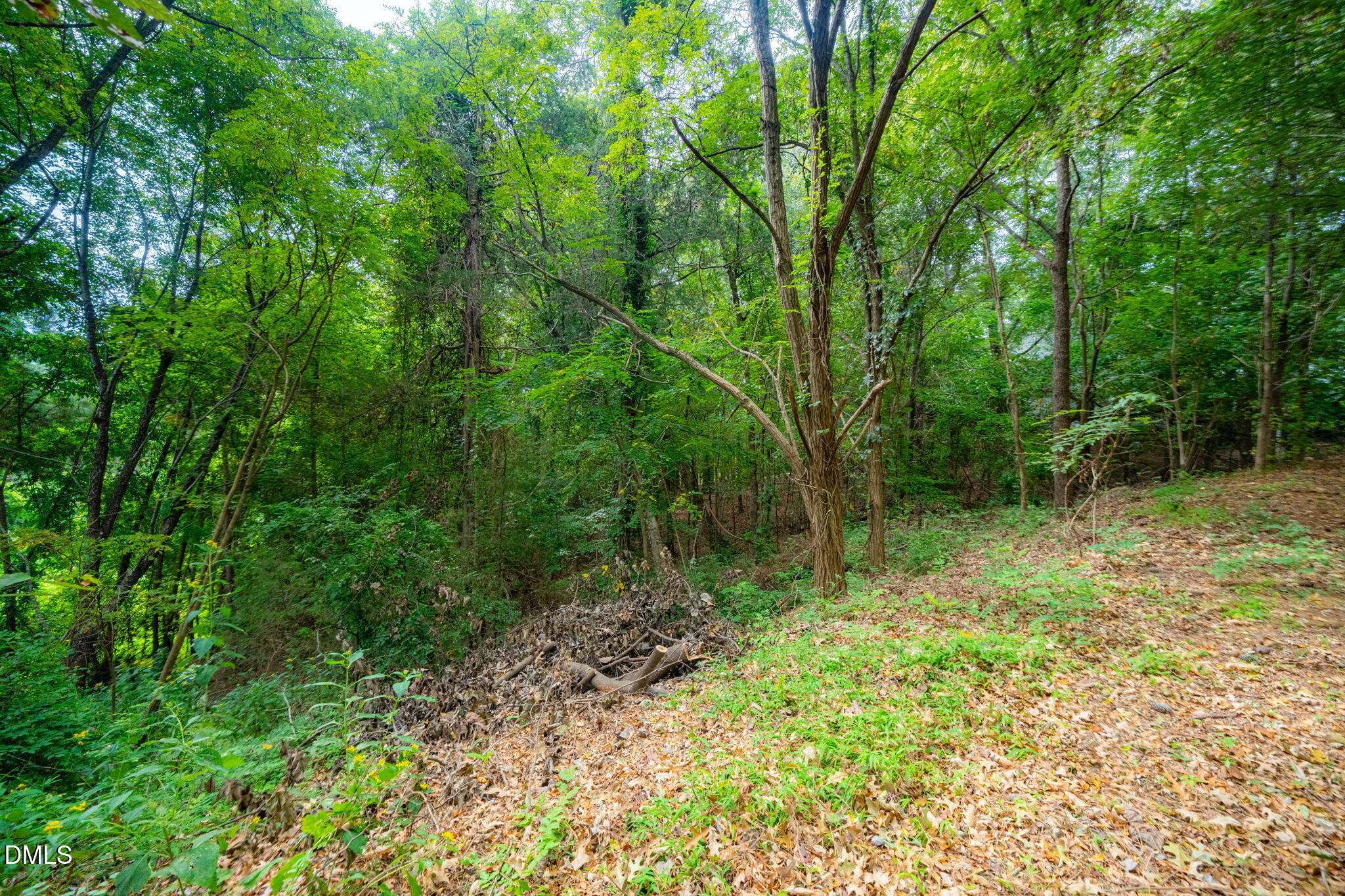 105 Wright Hill Drive Property Photo 12
