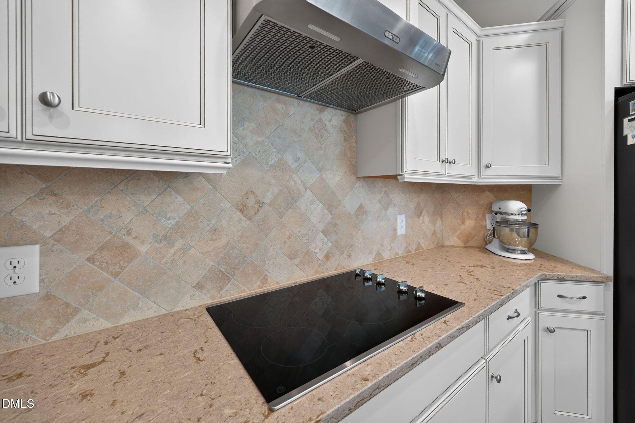 1618 Vineyard Mist Drive Property Photo 8