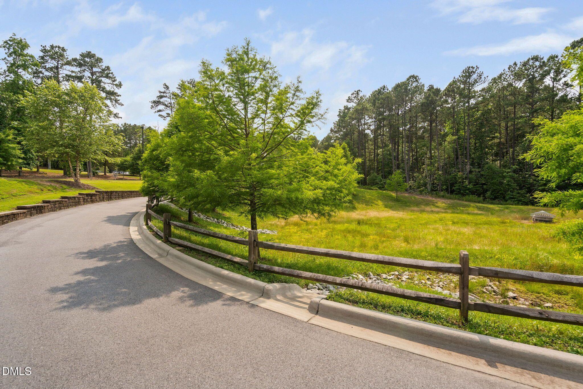 1618 Vineyard Mist Drive Property Photo 45