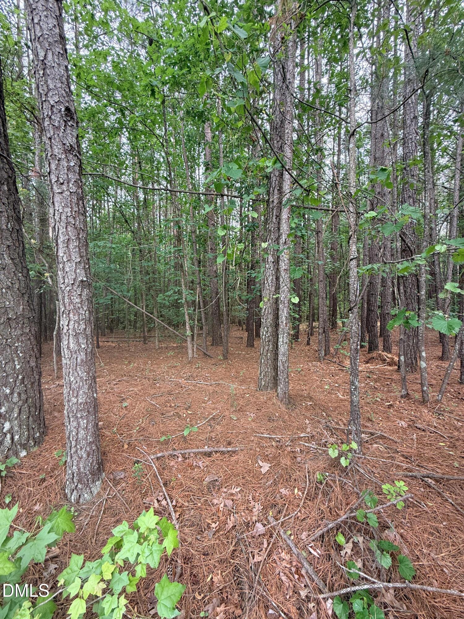 104 Amsterdam Drive Property Photo 6