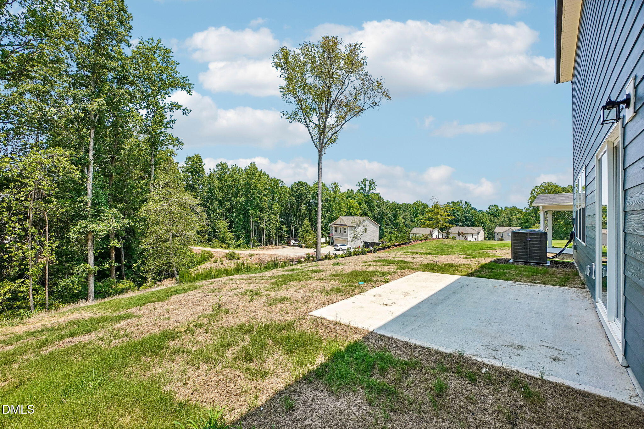 163 N Field Sparrow Way Property Photo 43