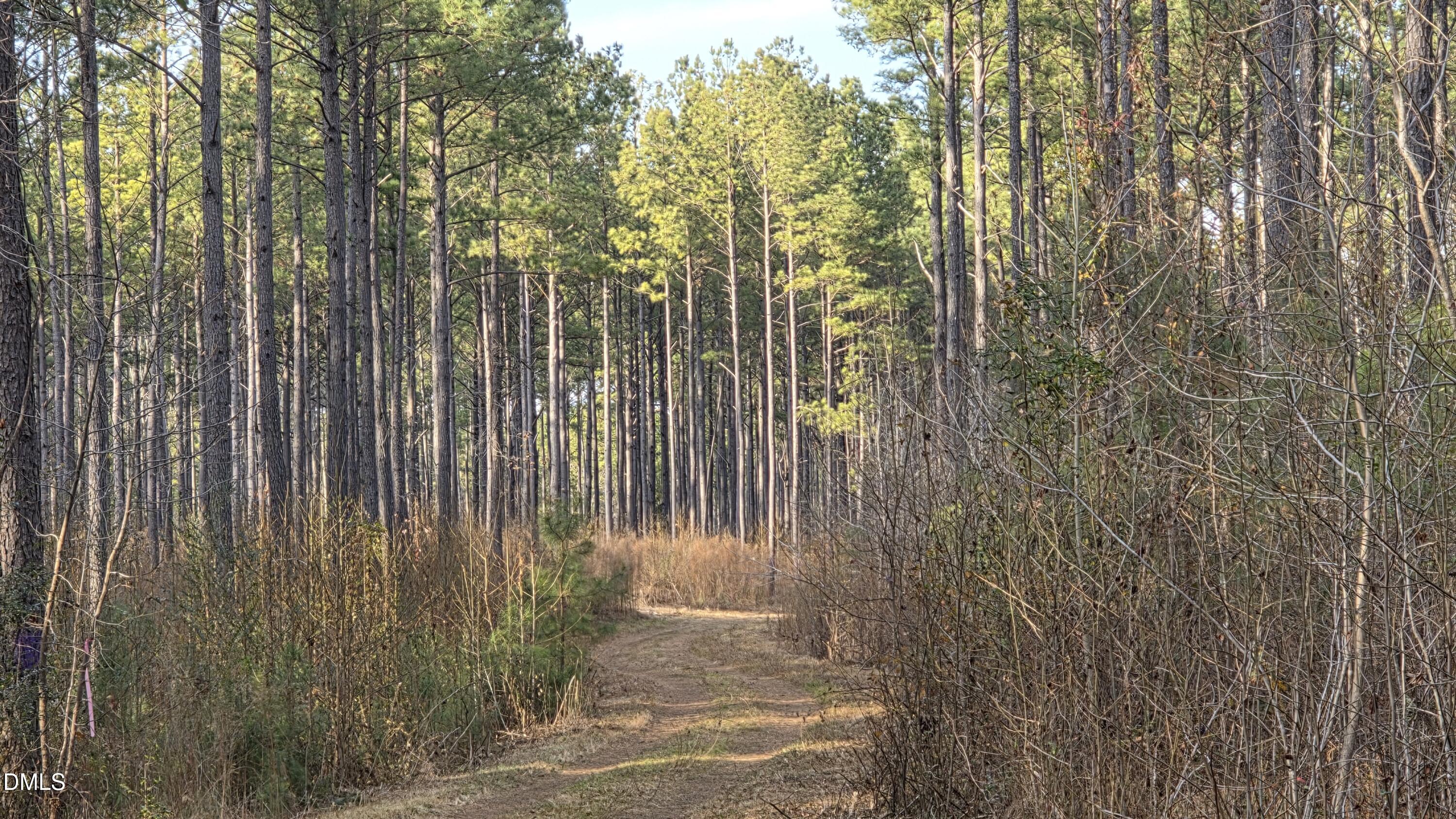 00 Hal Moore Lane Property Photo