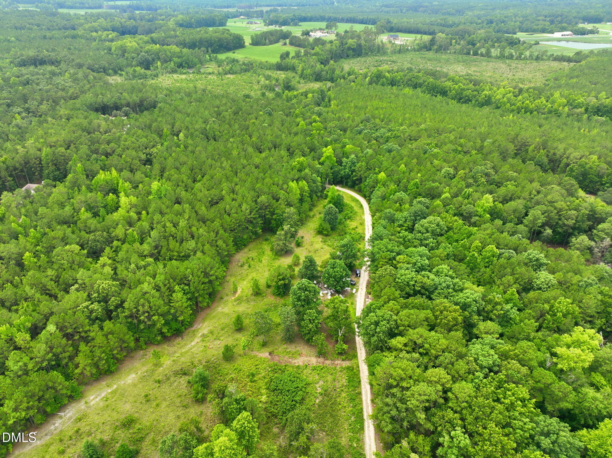 1025 Mike Williams Lane Property Photo 3