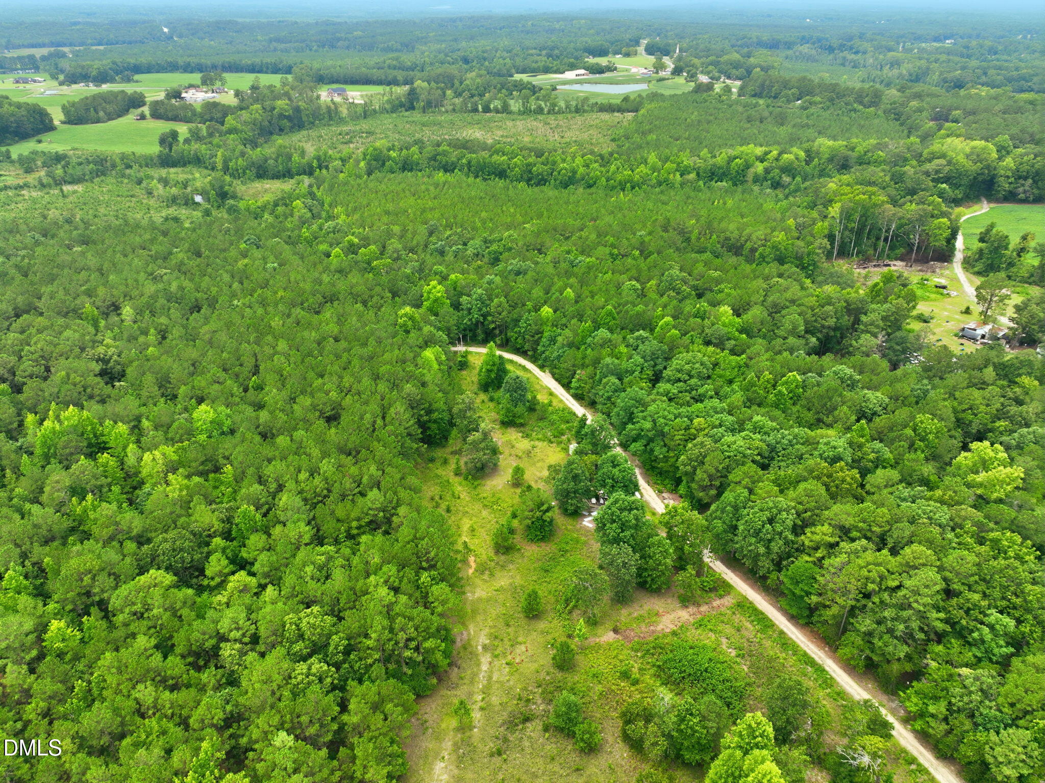 1025 Mike Williams Lane Property Photo 4