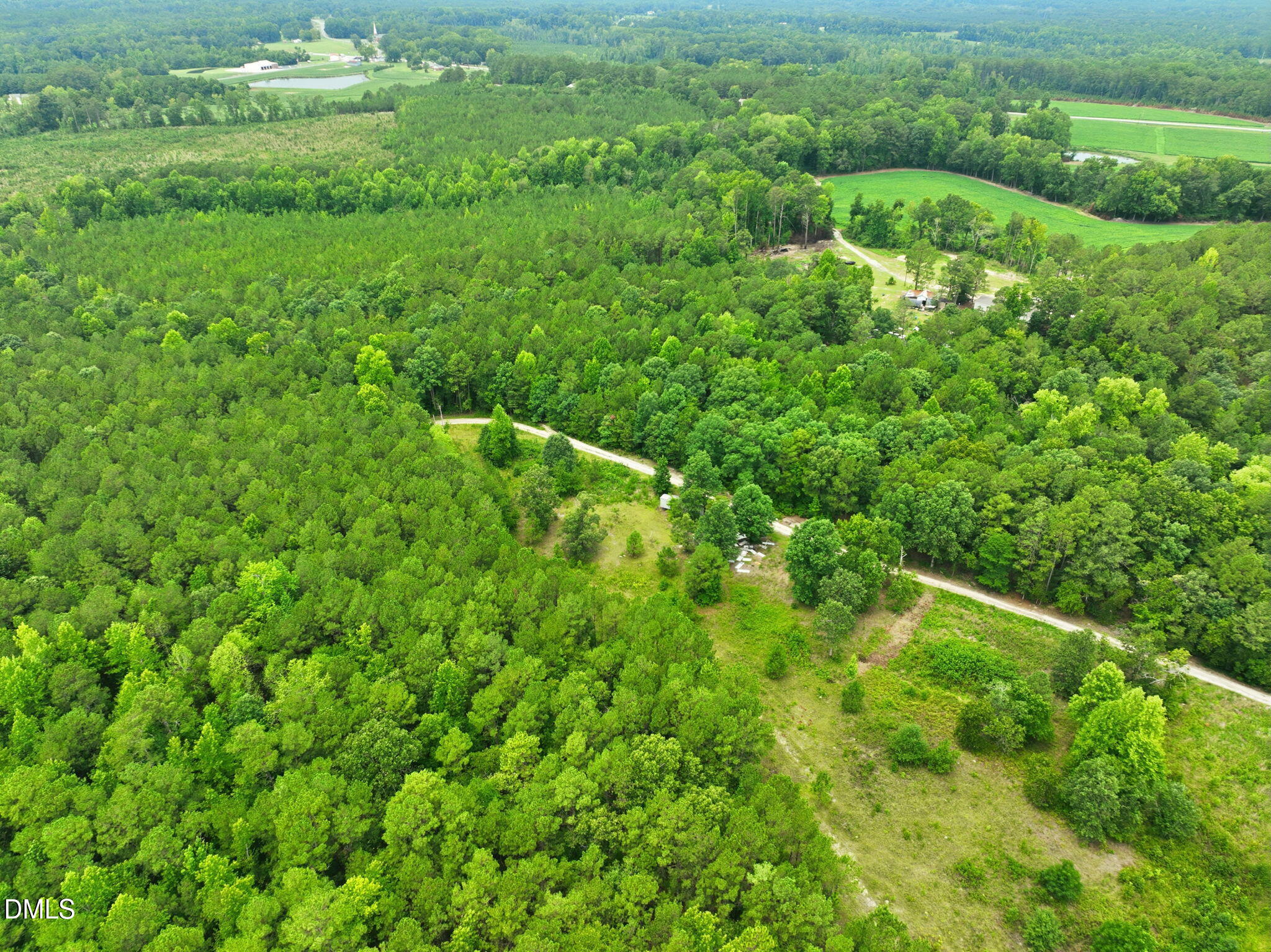 1025 Mike Williams Lane Property Photo 5