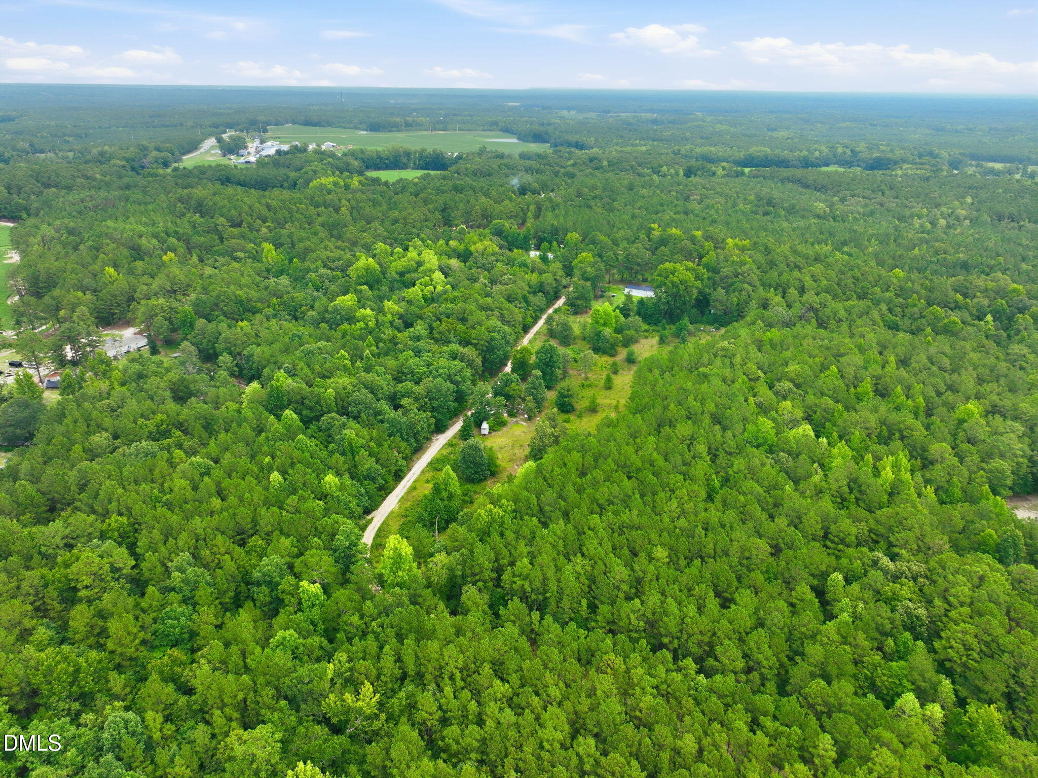 1025 Mike Williams Lane Property Photo 10