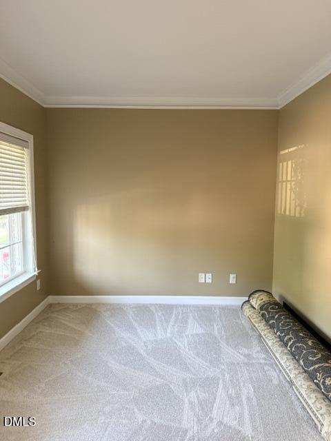 12442 Pawleys Mill Circle Property Photo 7