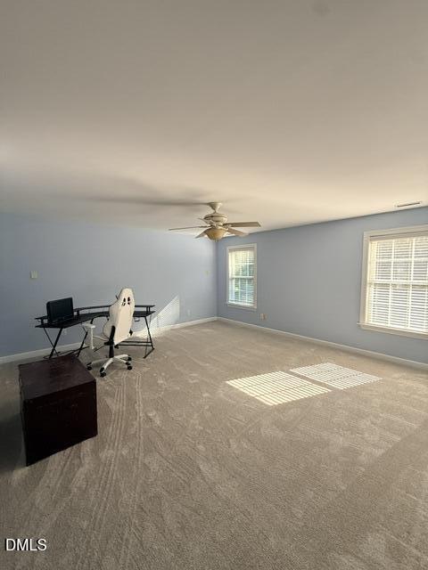 12442 Pawleys Mill Circle Property Photo 31