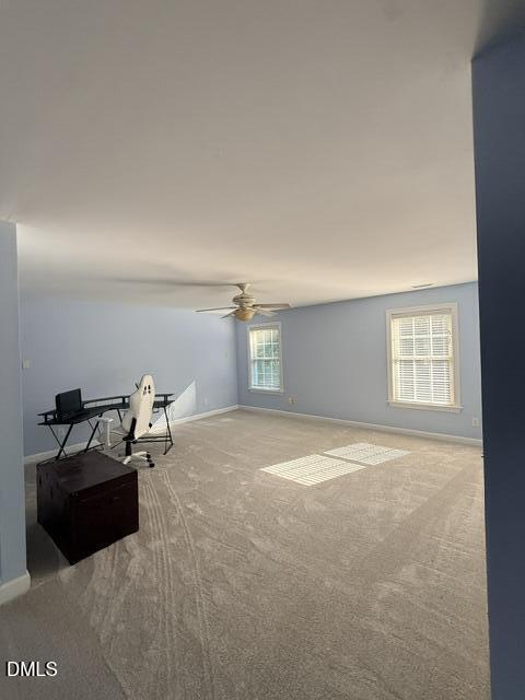 12442 Pawleys Mill Circle Property Photo 35