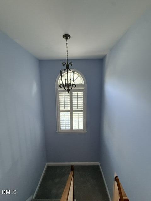 12442 Pawleys Mill Circle Property Photo 36