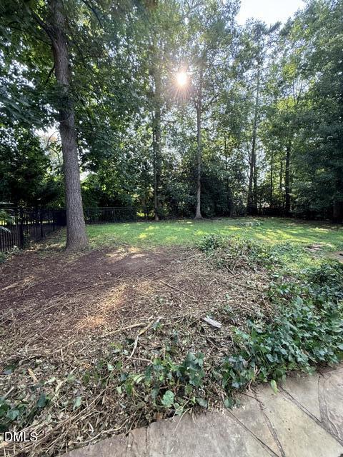 12442 Pawleys Mill Circle Property Photo 39