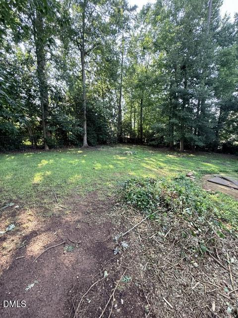 12442 Pawleys Mill Circle Property Photo 41