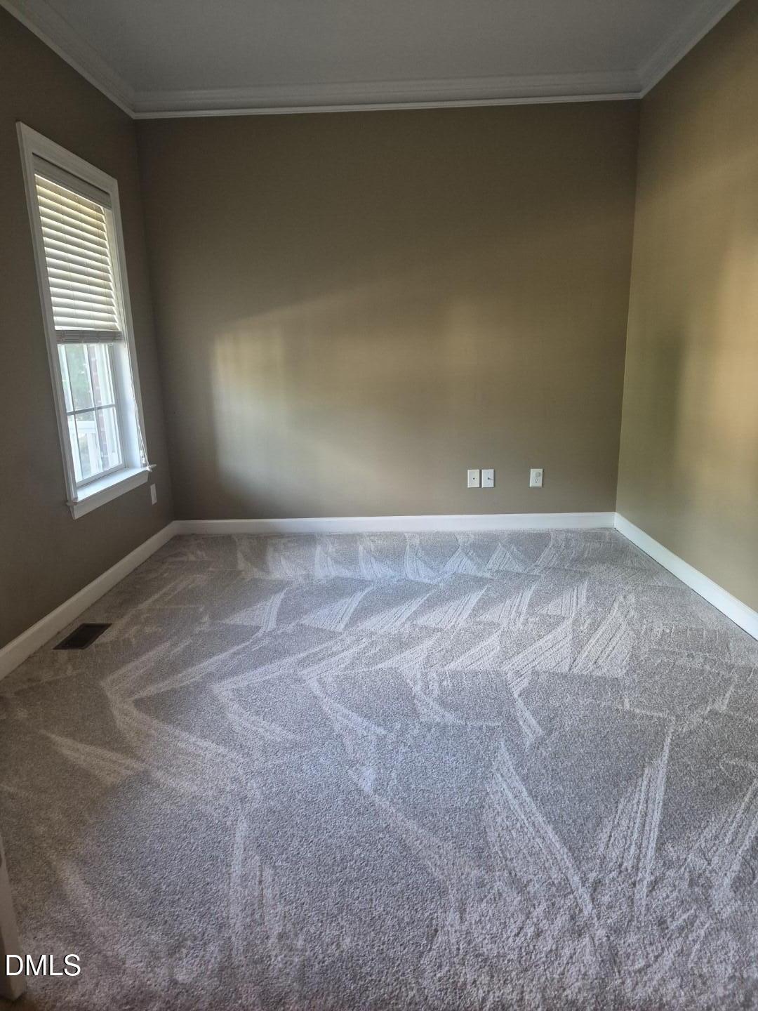 12442 Pawleys Mill Circle Property Photo 44