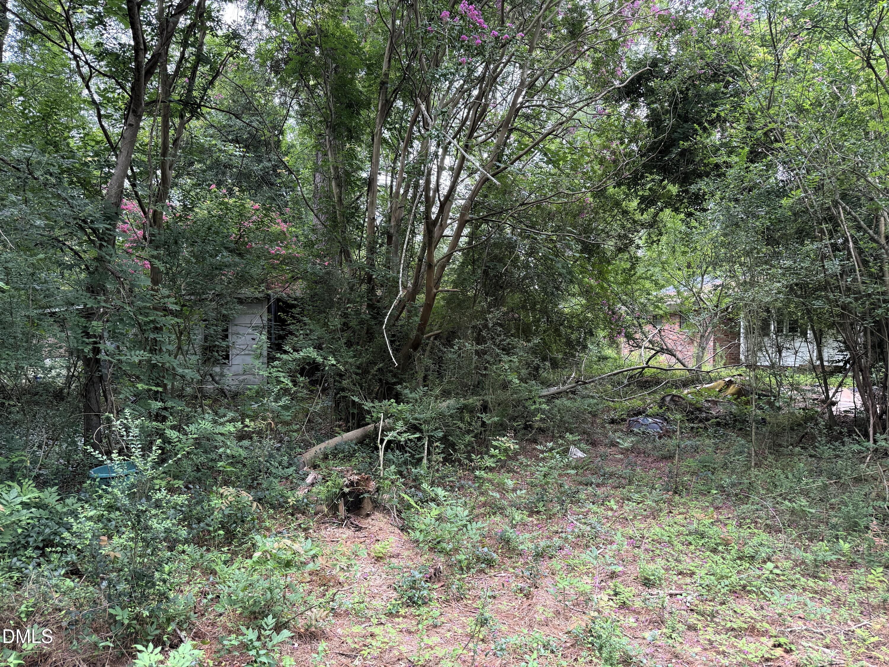 1755 Bunnlevel Erwin Road Property Photo 9