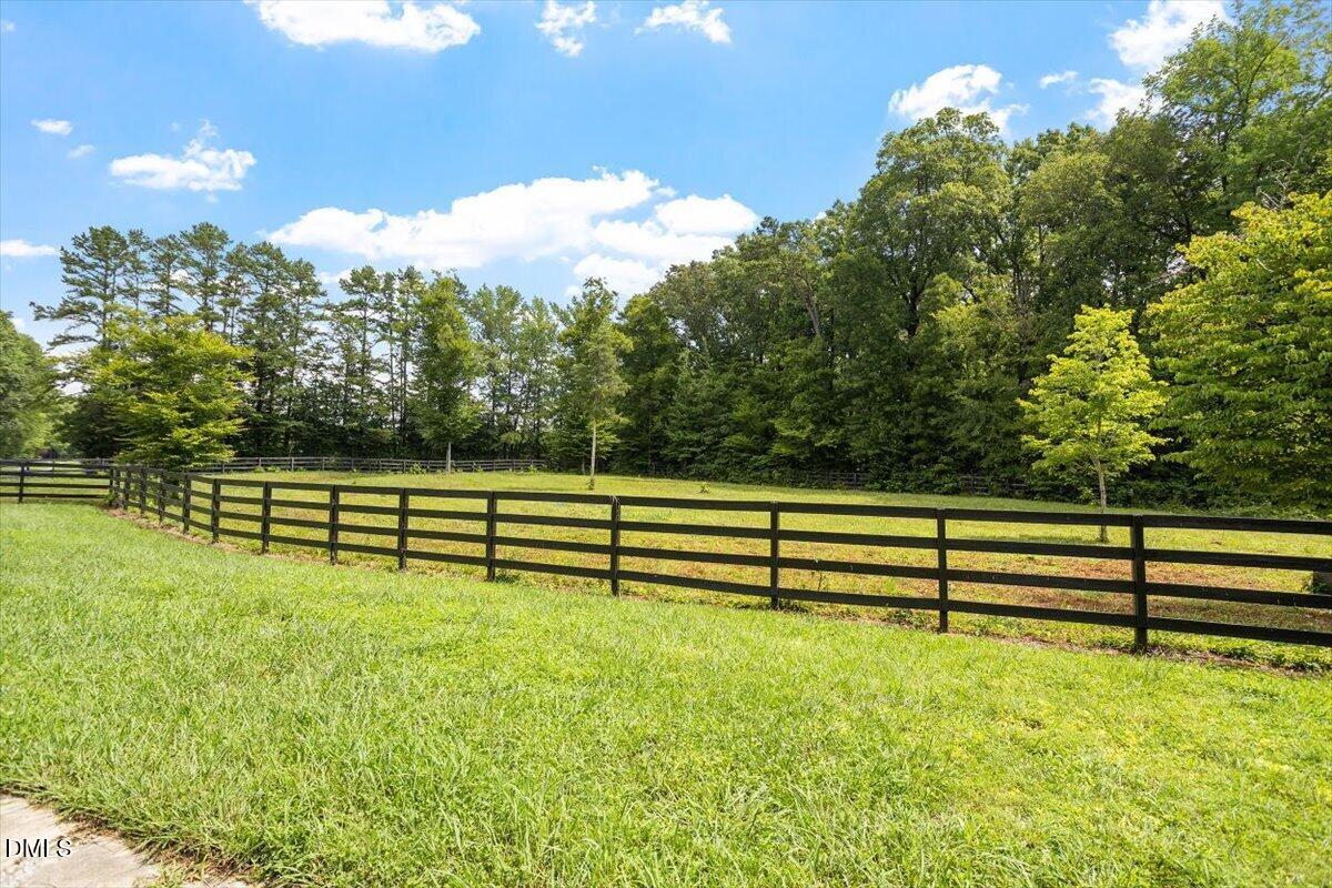 2416 Halls Mill Road Property Photo 3