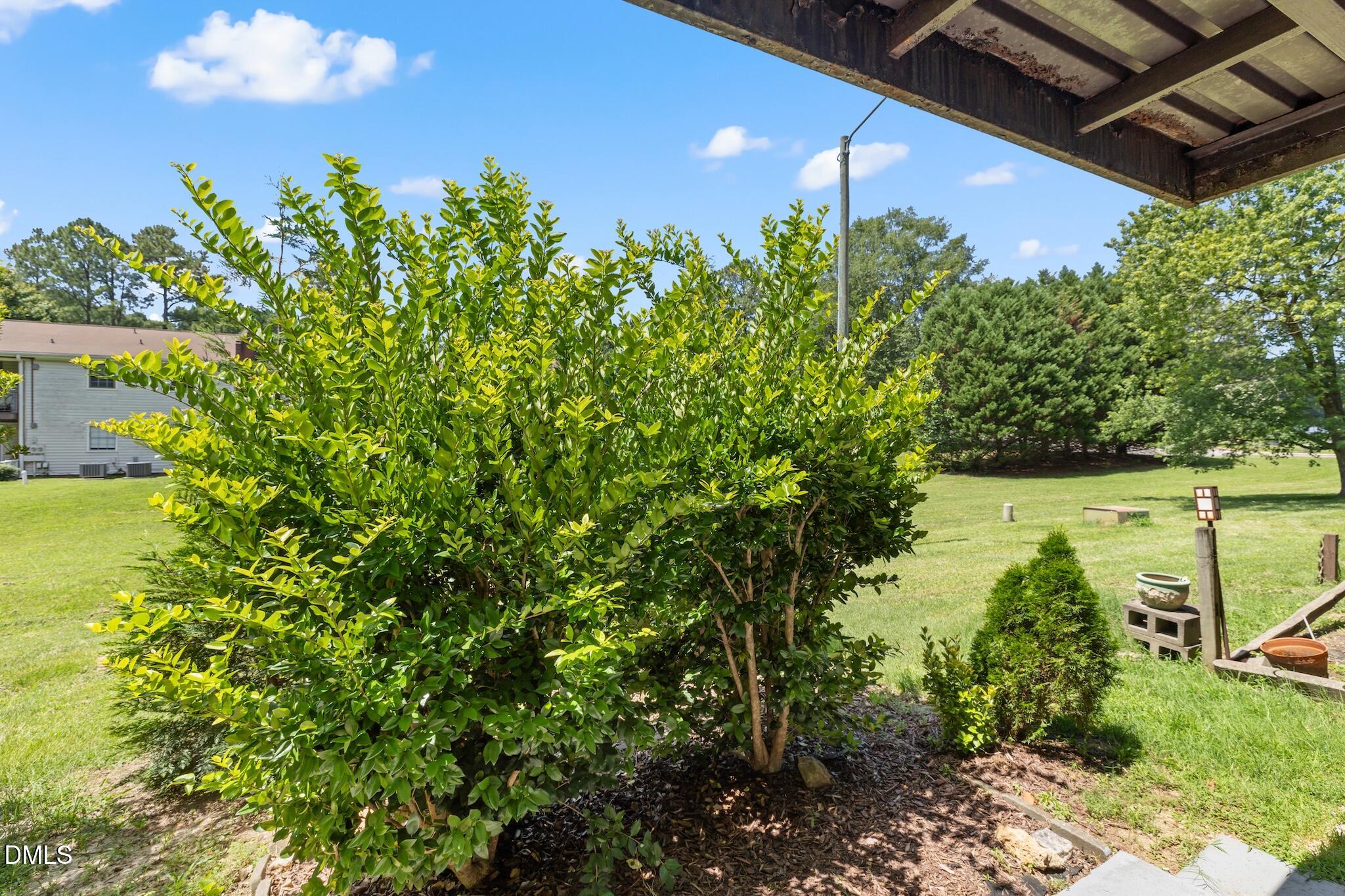 1208 Manassas Property Photo 19