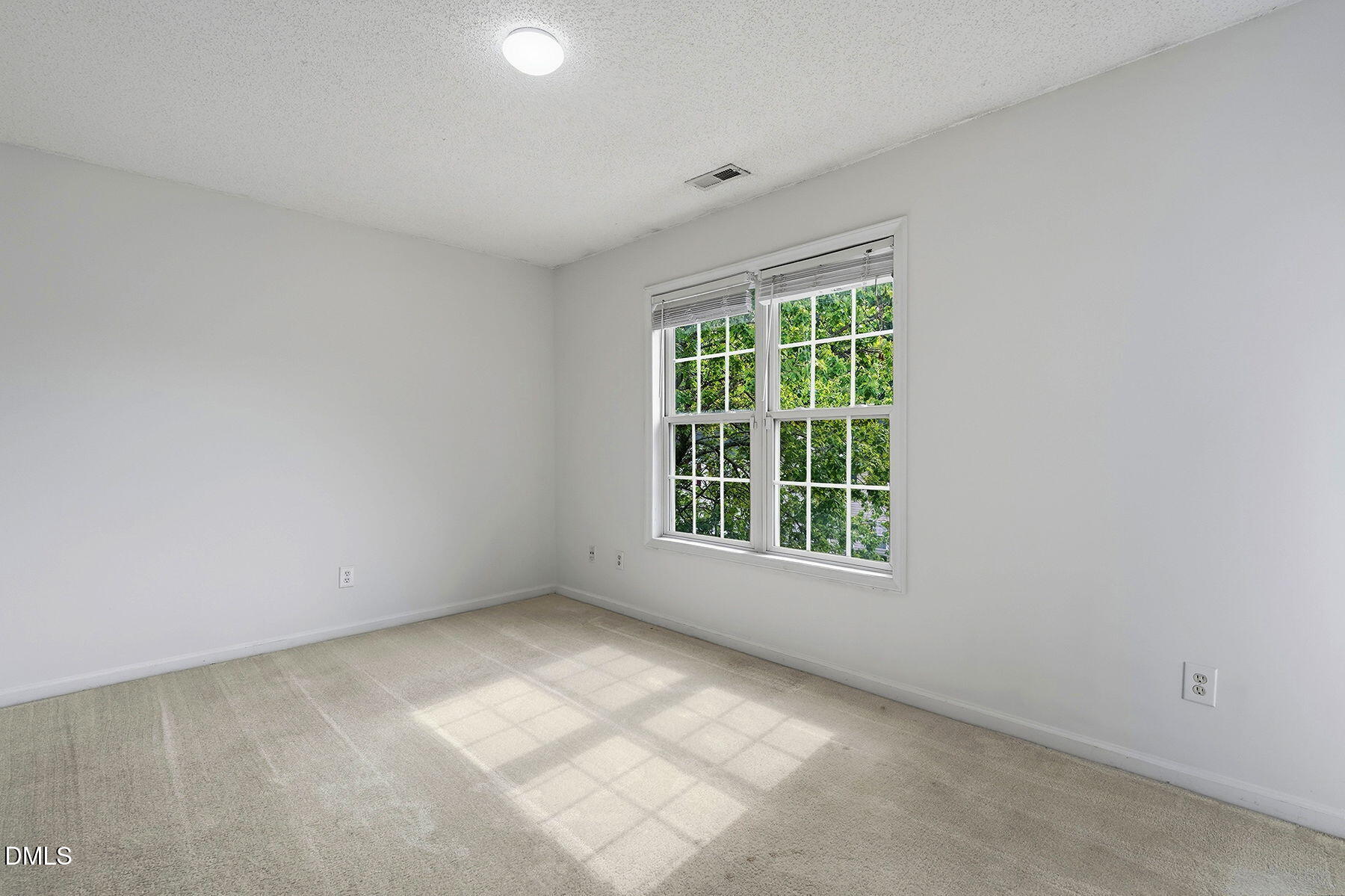 2130 Walnut Bluffs Lane Property Photo 22