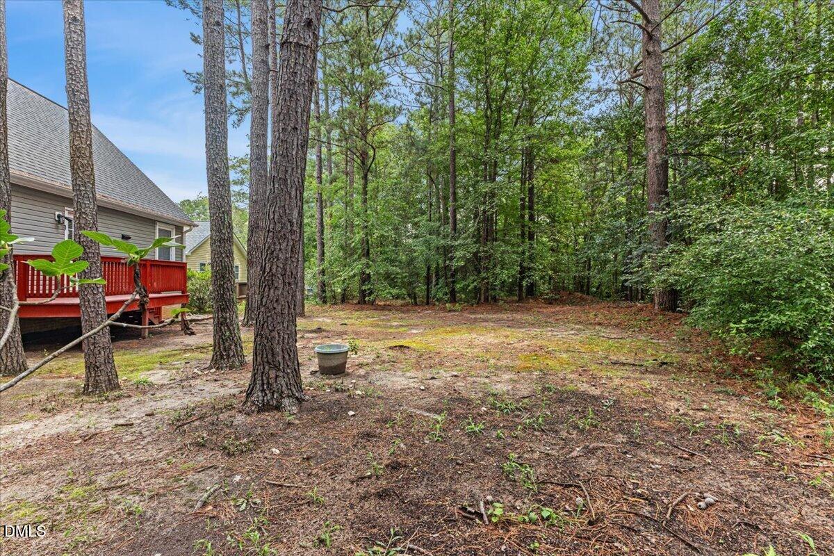 2905 Benjamin Hill Circle Property Photo 22