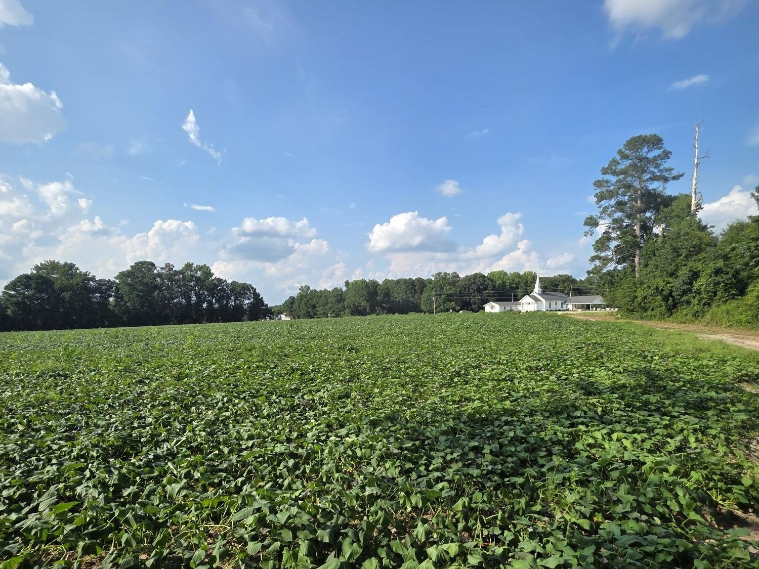 0 Eldridge Road Property Photo 1