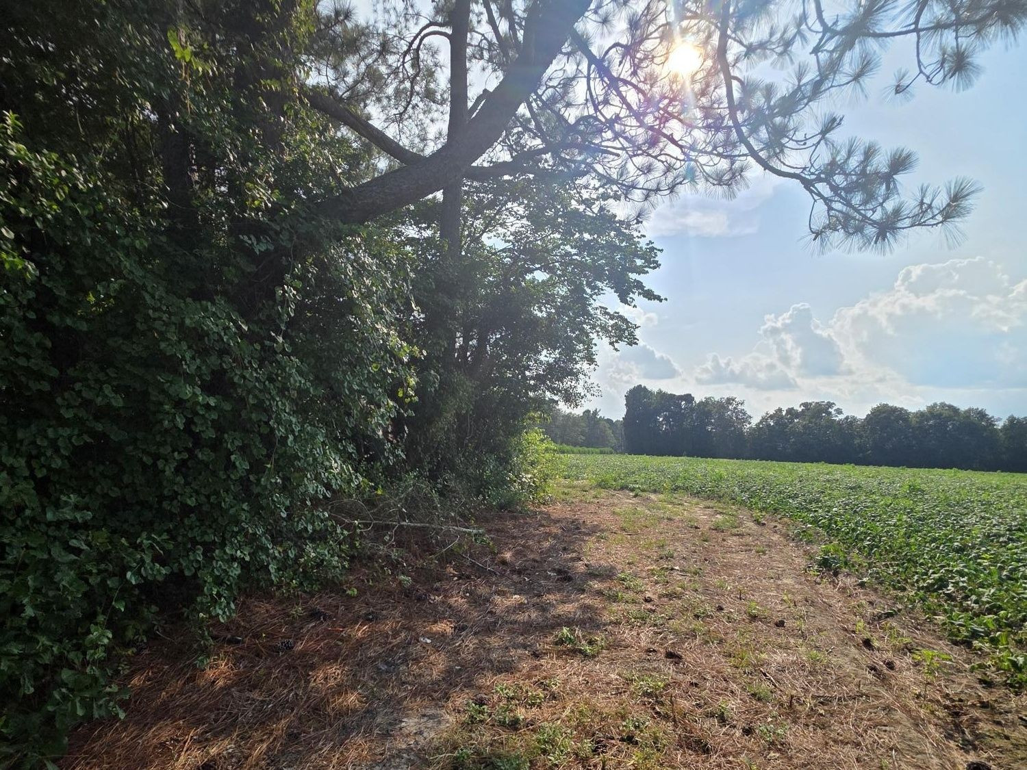 0 Eldridge Road Property Photo 2