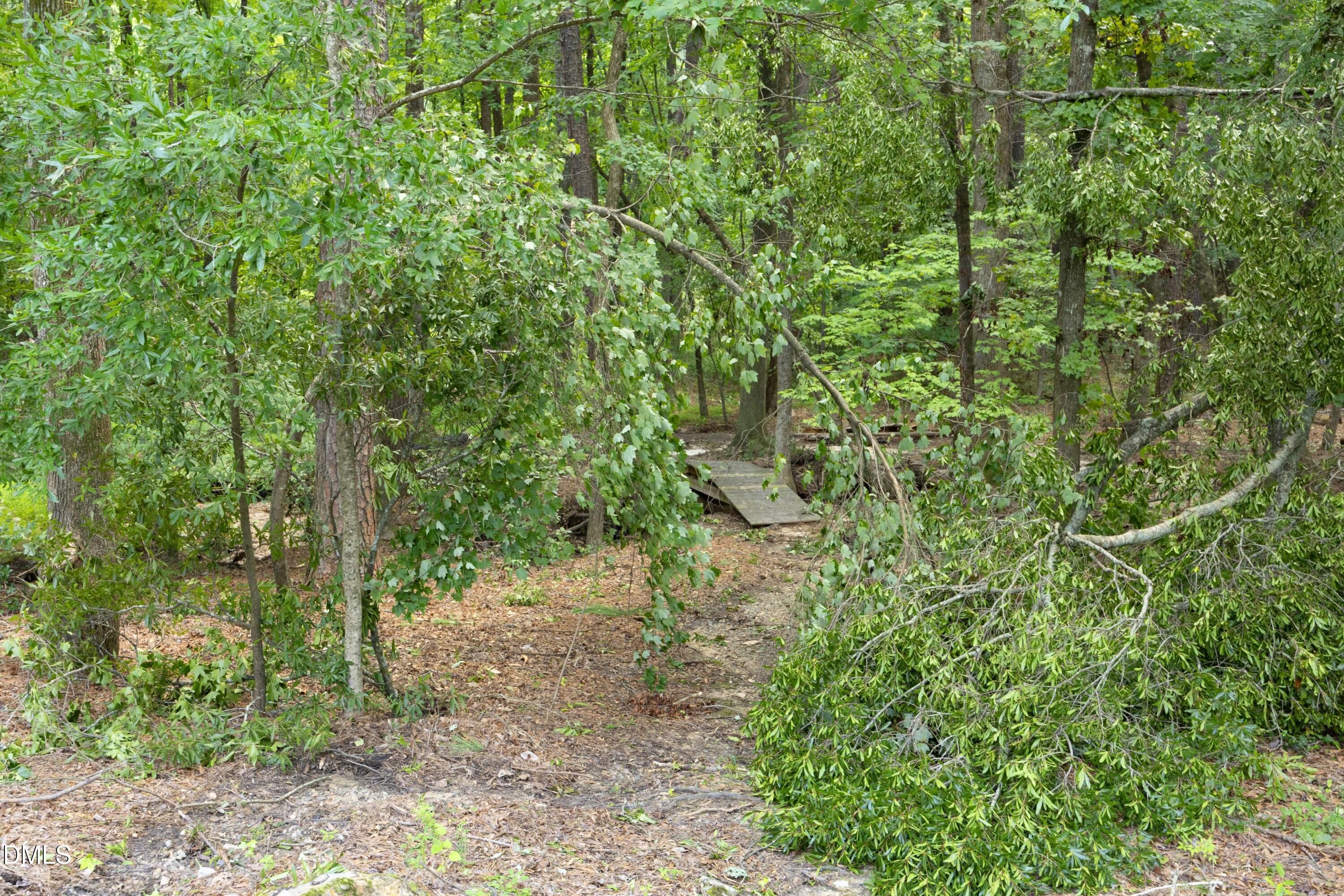 13304 Ashford Park Drive Property Photo 45