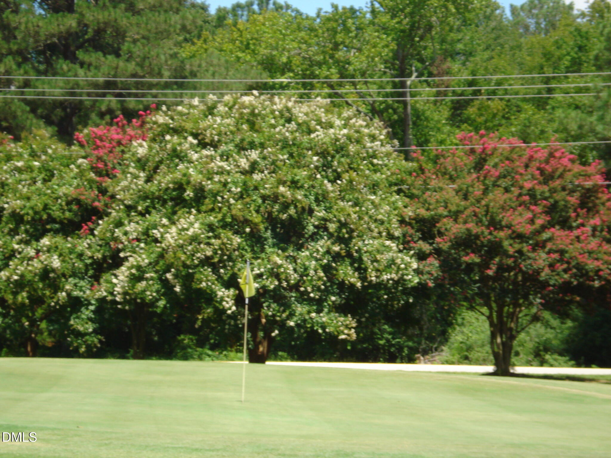 41 Sandy Ridge Road Property Photo 6