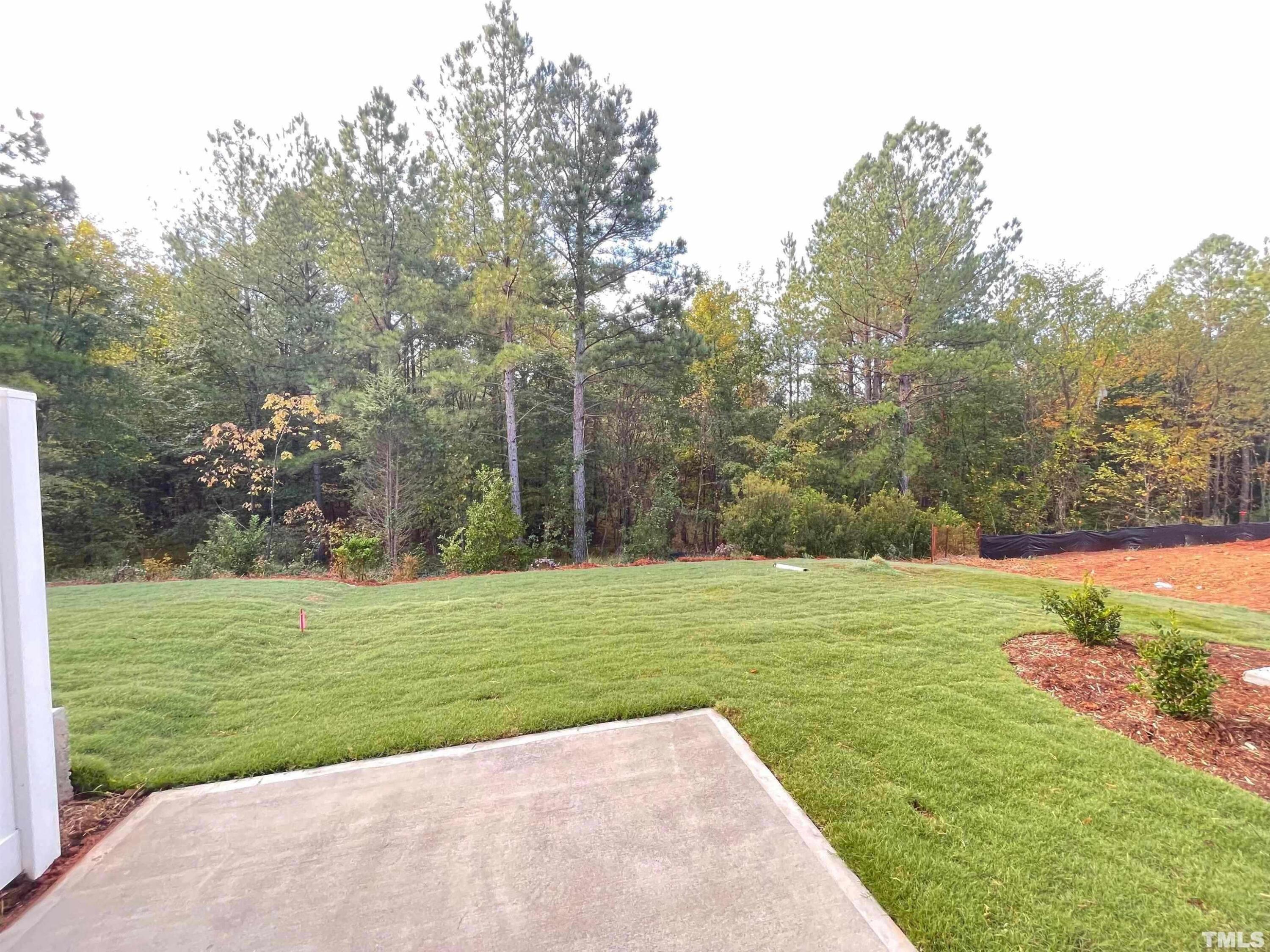 1230 Gemfor Street Property Photo 16